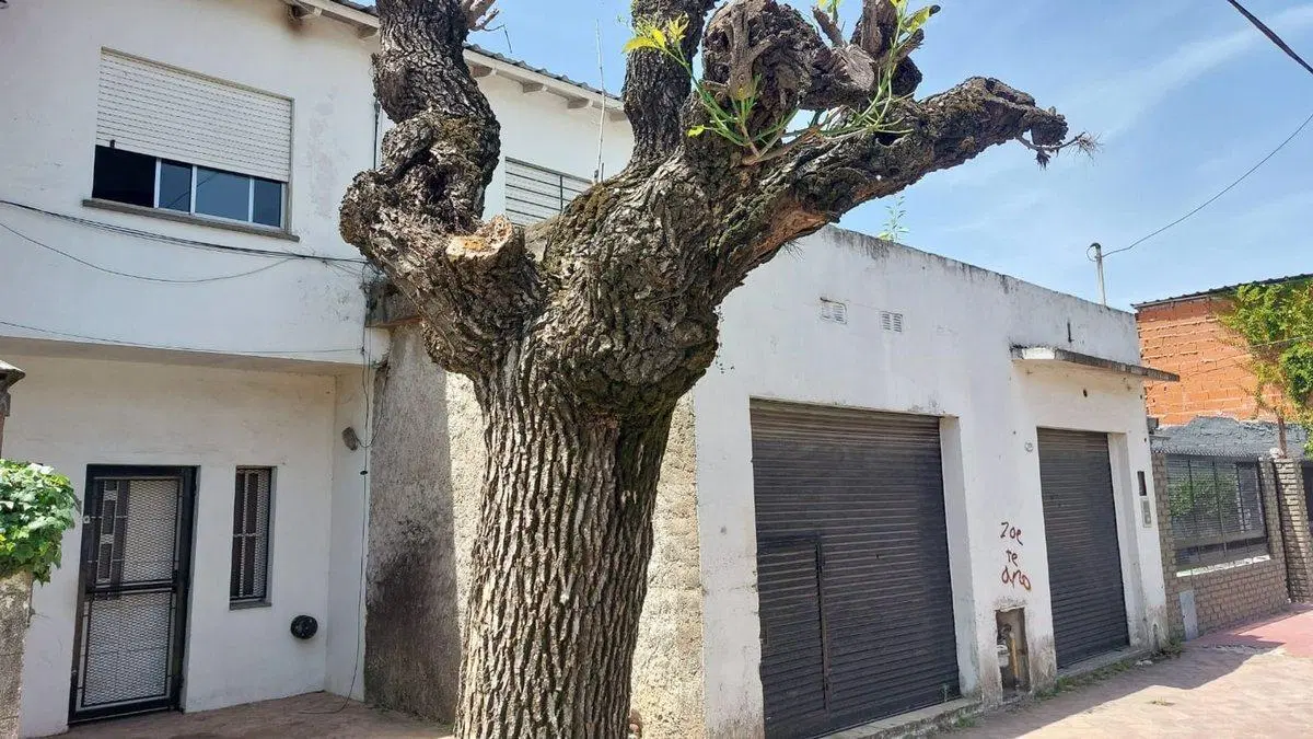 VENTA - CASA 6 AMB + LOCAL. APTA CREDITO. MORENO 4