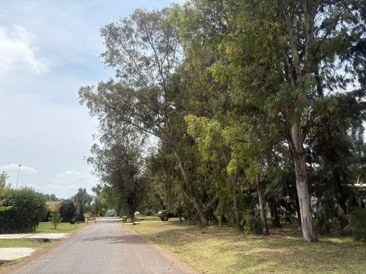 VENTA LOTE 840M2 CASUARINAS CLUB DE CAMPO PILAR 5