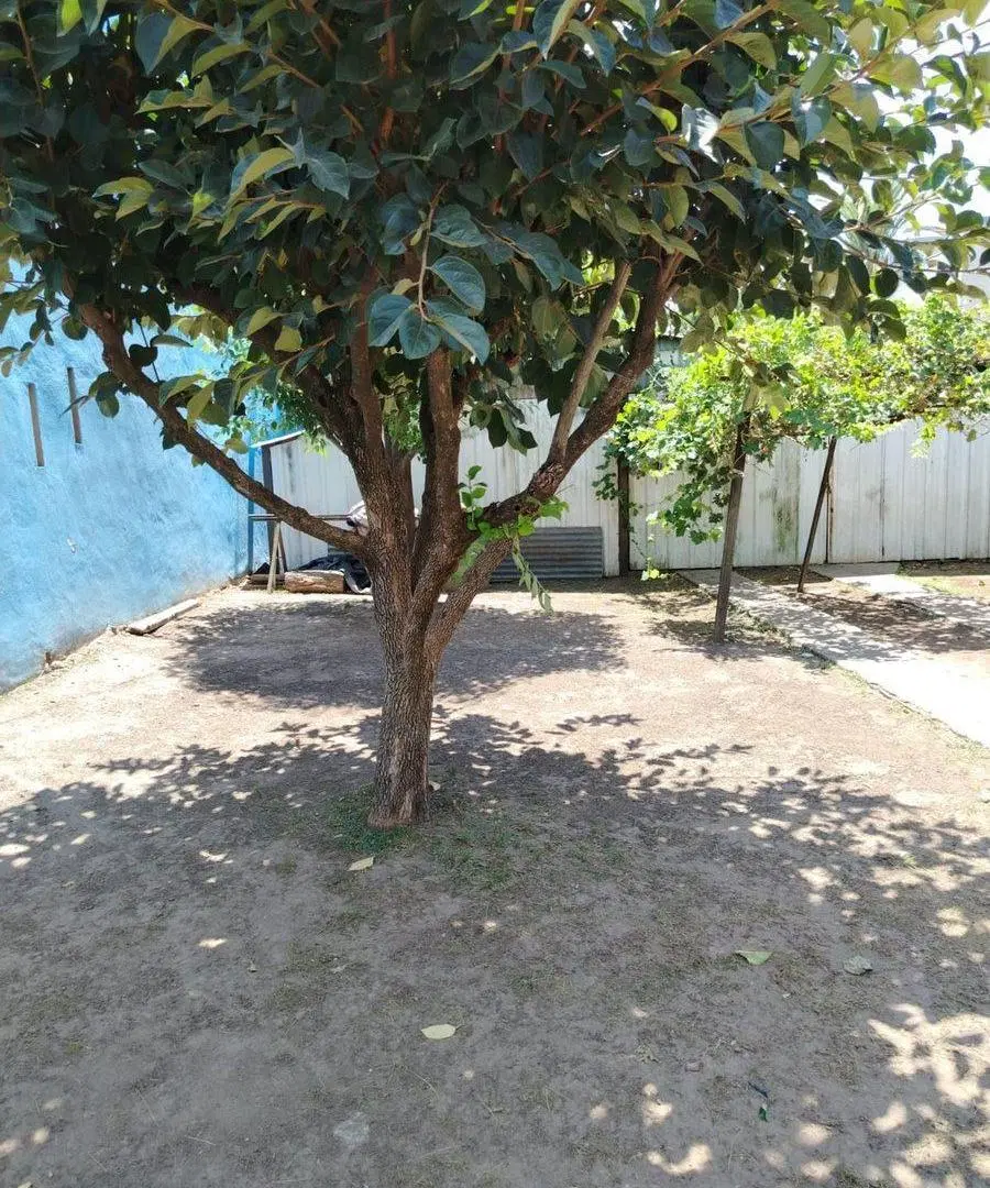 VENTA LOTE CON TALLER y ENERGIA TRIFASICA MERLO 1