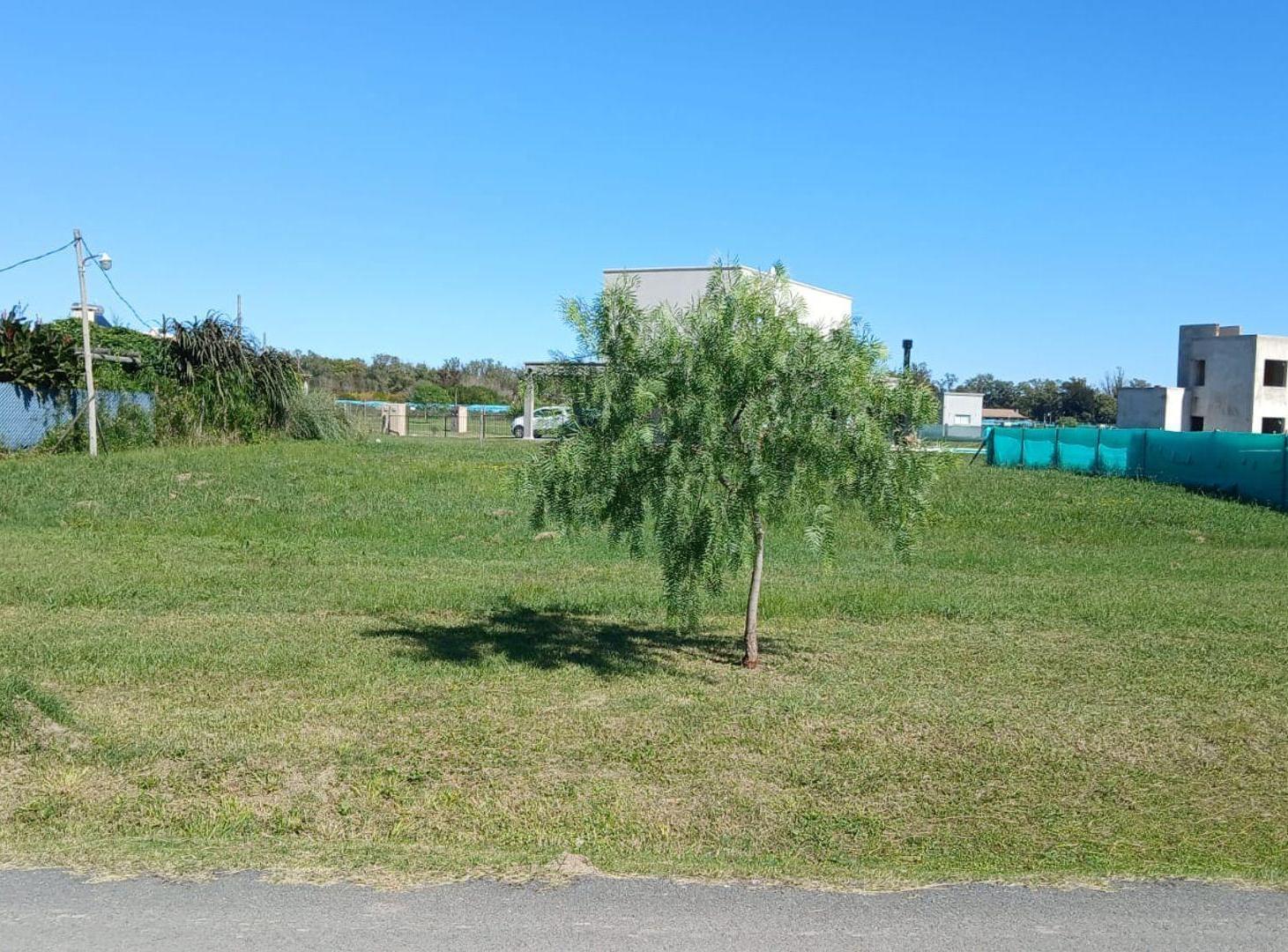 Foto de VENTA LOTE ENSUEÑO 840 MTS, imagen 3