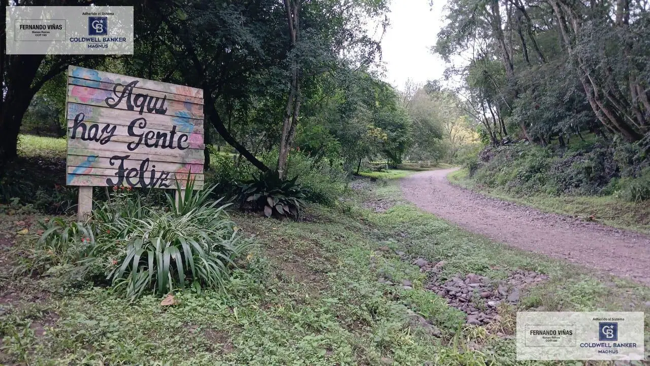 Terrenos en Cadillal - Loteo  LA AÑORADA - Escrituras/ Luz / Agua 8