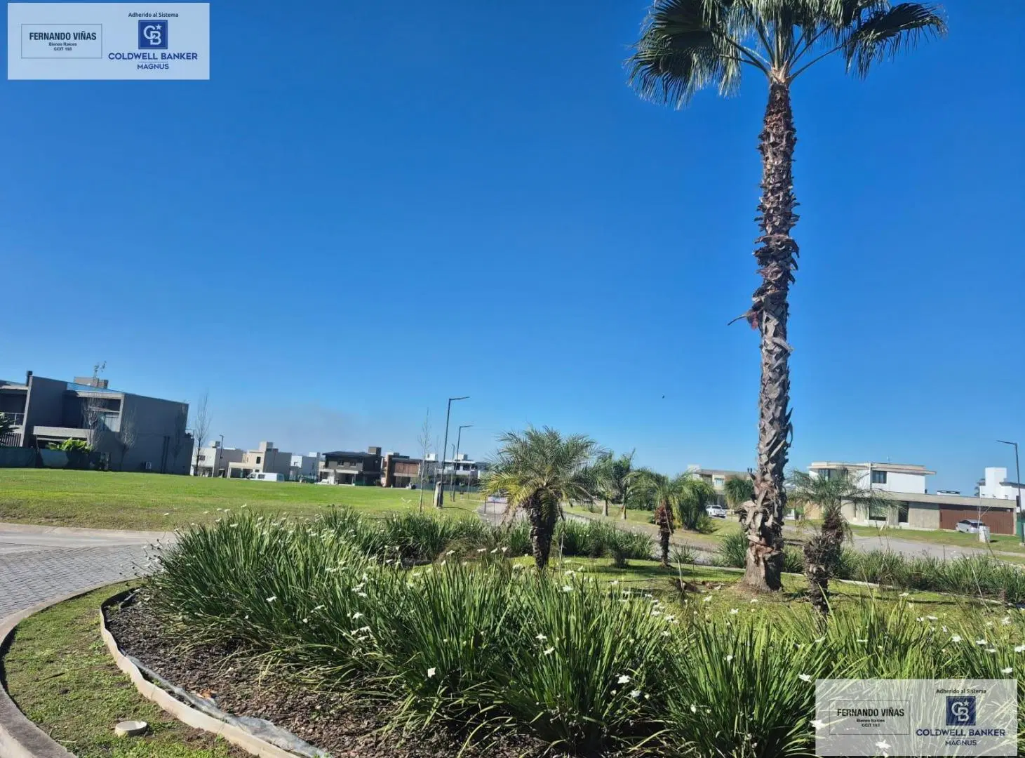 Terreno en San Pablo 5