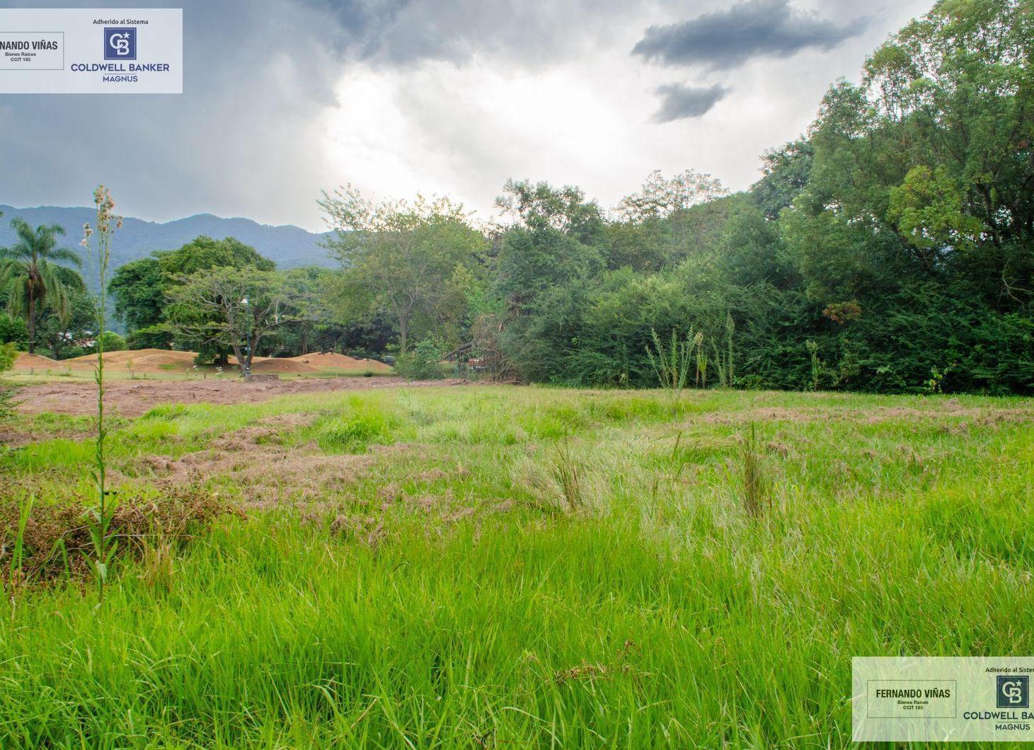 Foto de TERRENO EN VENTA COUNTRY LAS YUNGAS, imagen 3