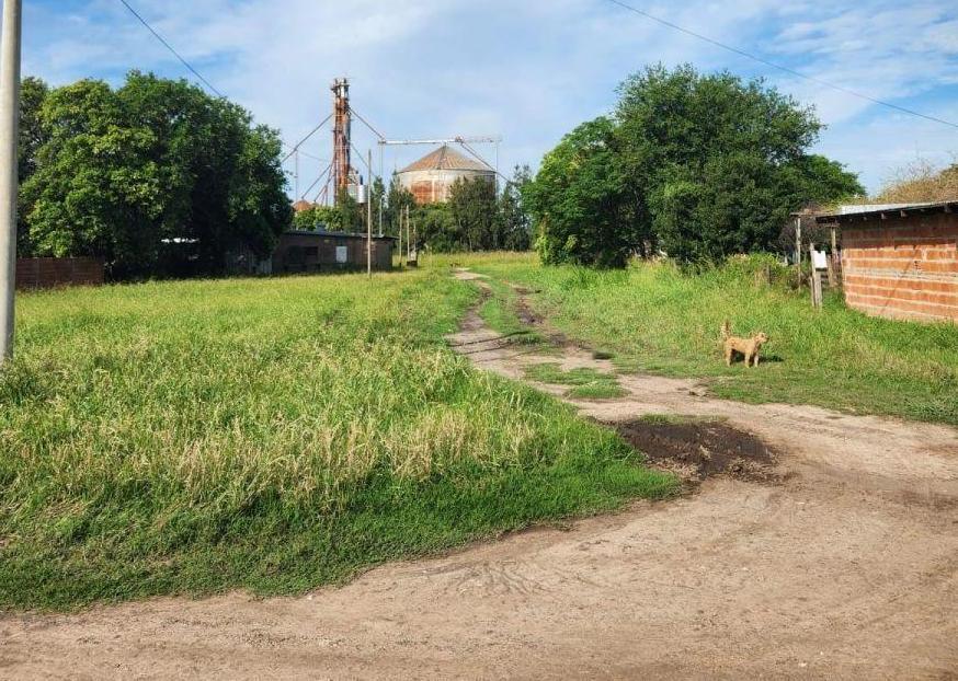 Terreno en Venta en General Lagos 518 m² 3