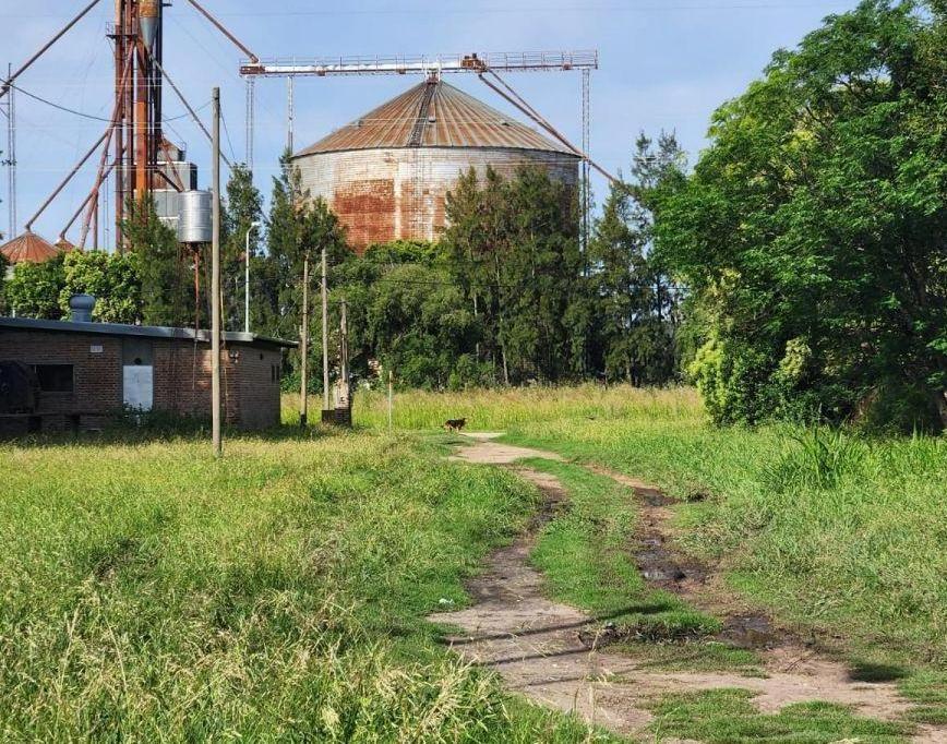 Terreno en Venta en General Lagos 518 m² 4