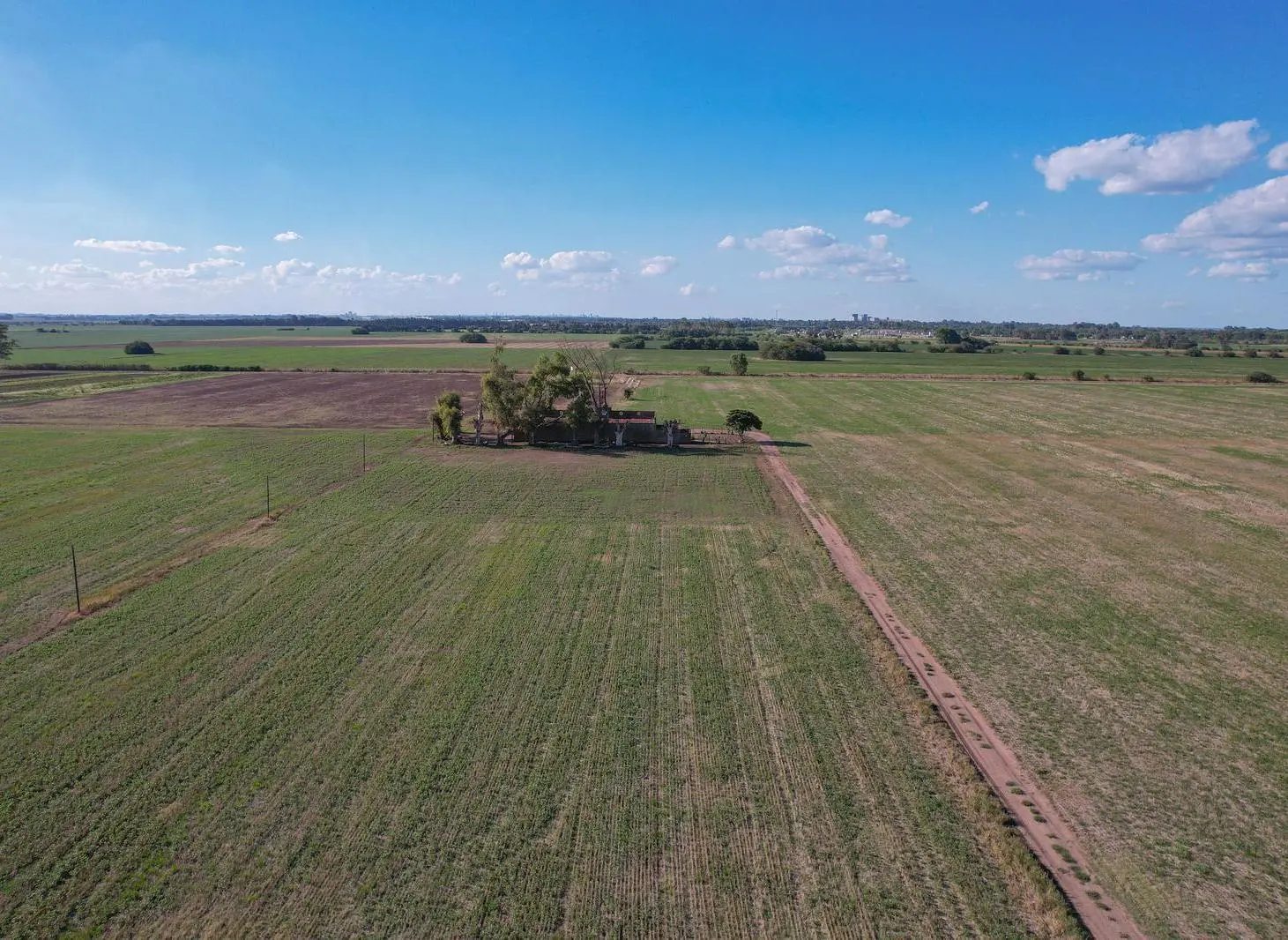 Campo Agrícola en Venta de 21 ha General Lagos 4