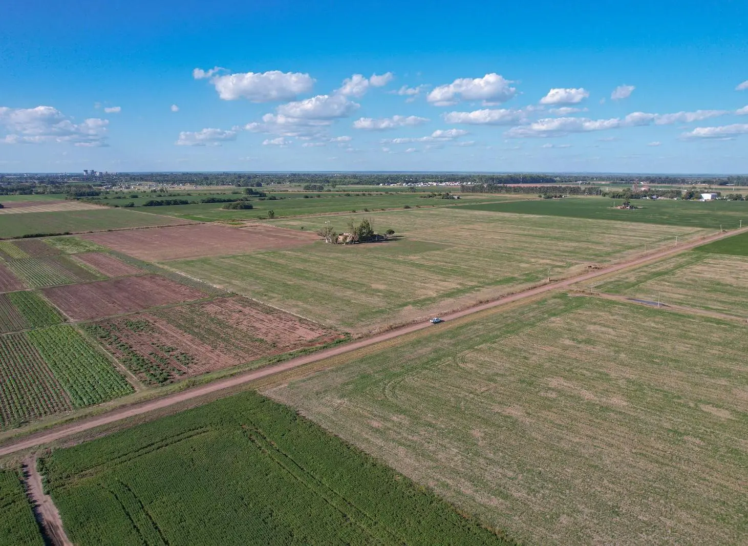 Campo Agrícola en Venta de 21 ha General Lagos 3