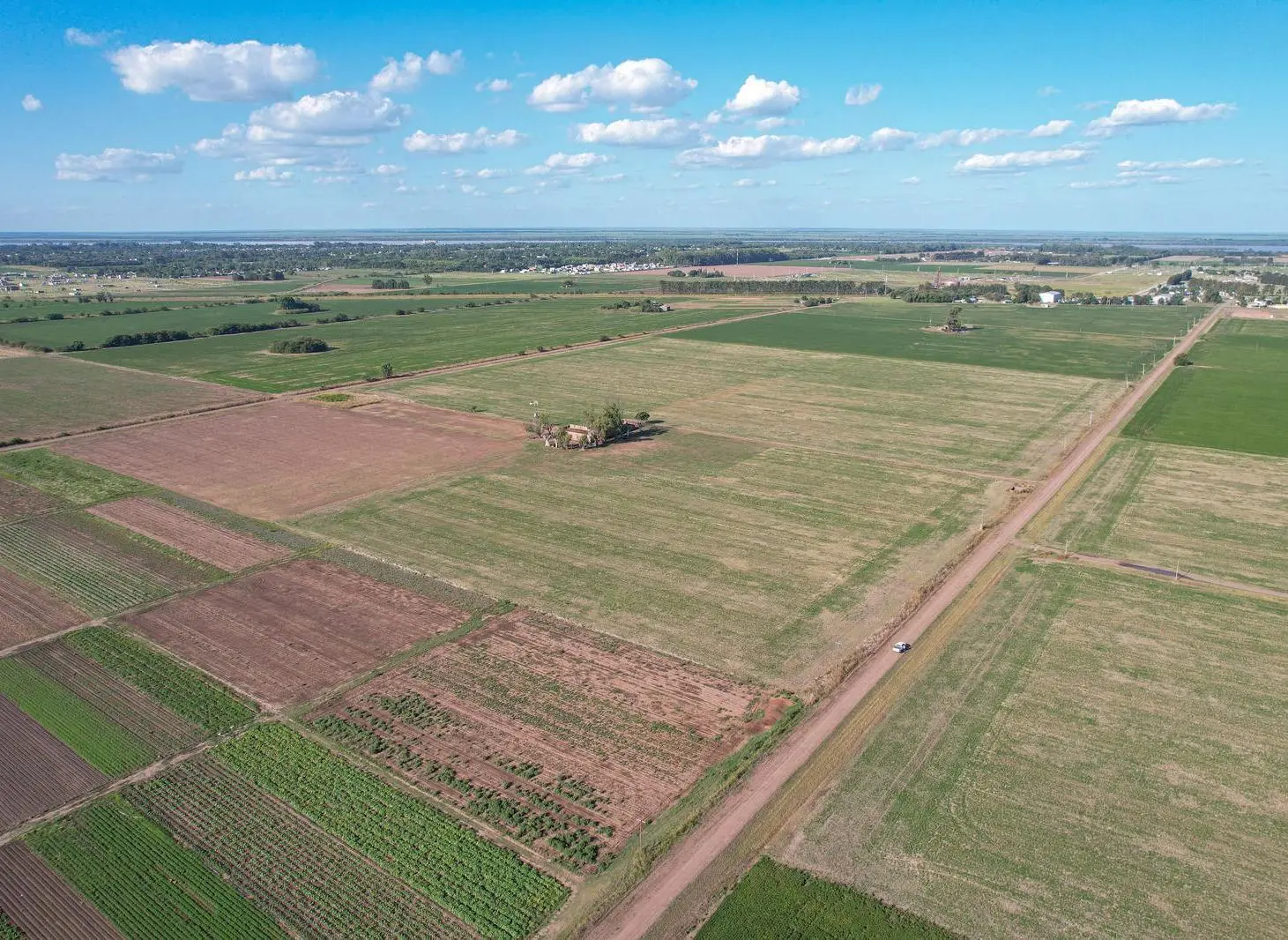 Campo Agrícola en Venta de 21 ha General Lagos 2