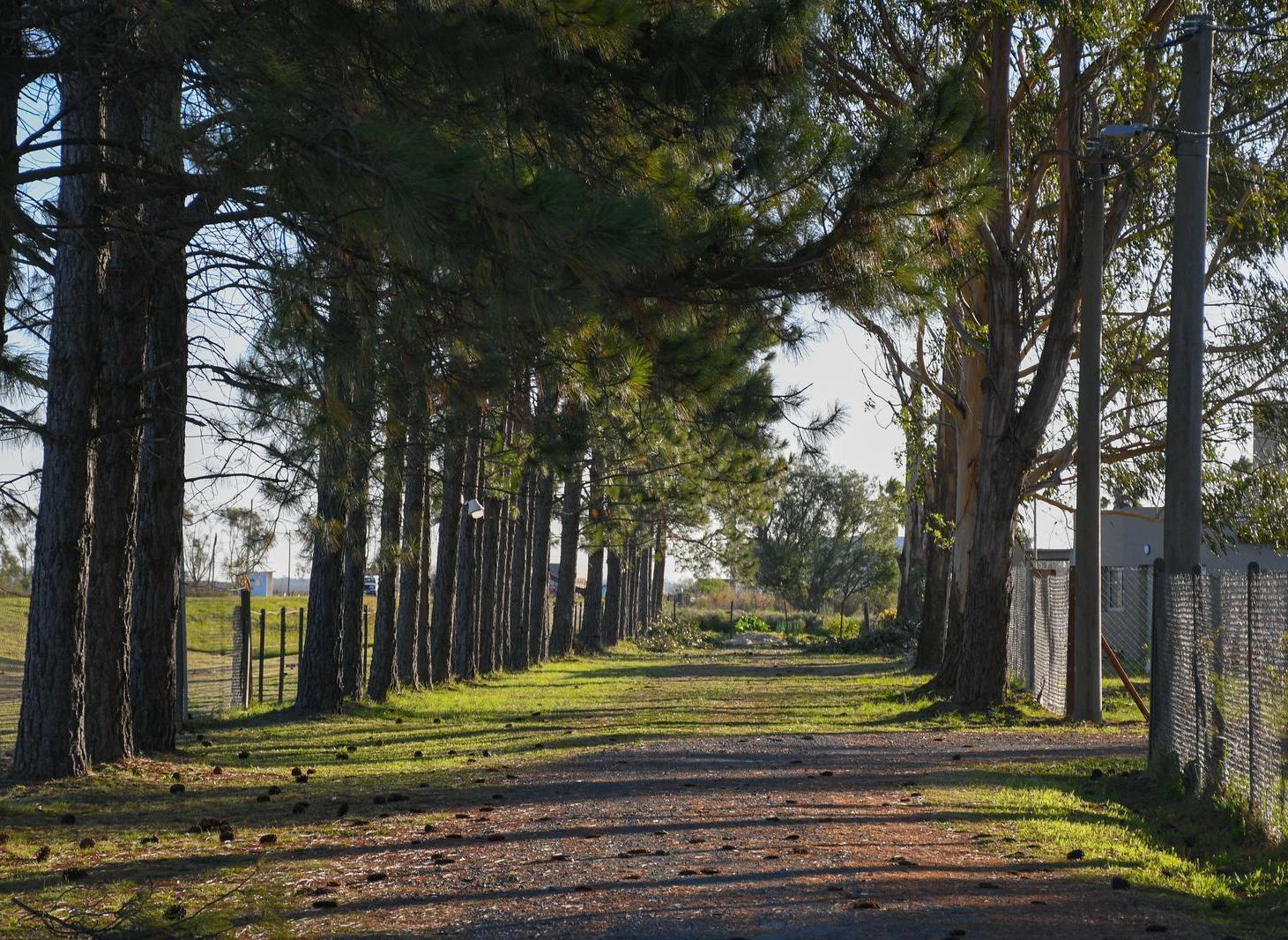 Foto de Terreno en Venta en Piñero Barrio El Amanecer 570m2, imagen 1