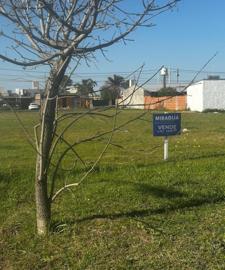 Foto de Terreno en Venta en Campos del Oeste Alvear, imagen 2