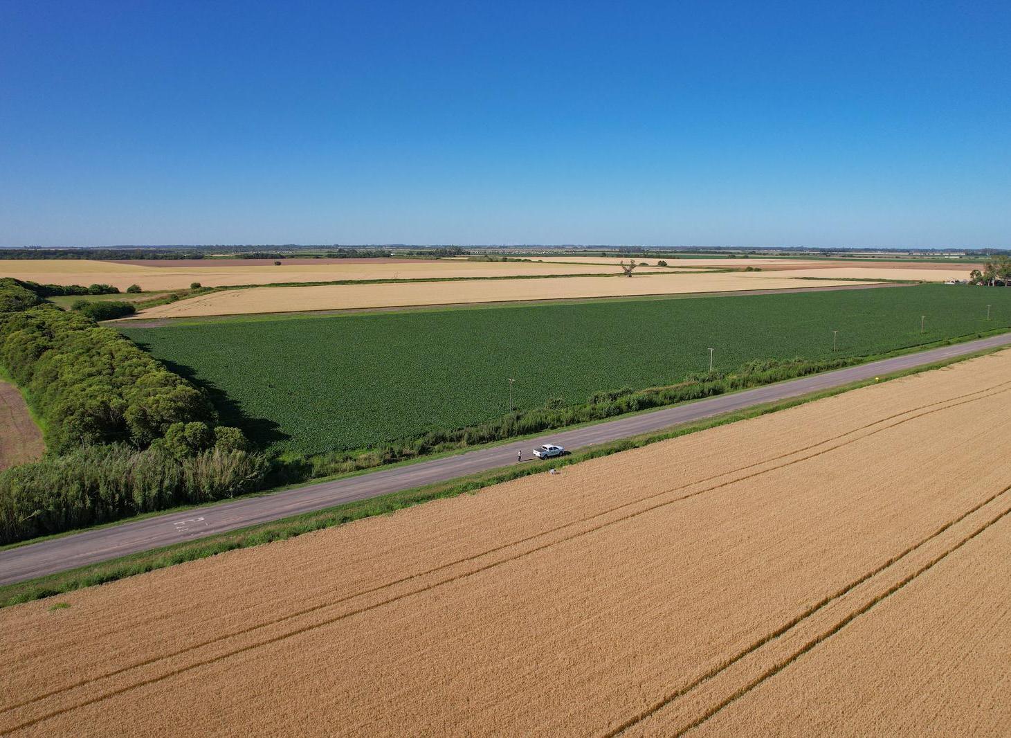 Foto de Campo Agricola en Venta en Alvarez, imagen 4