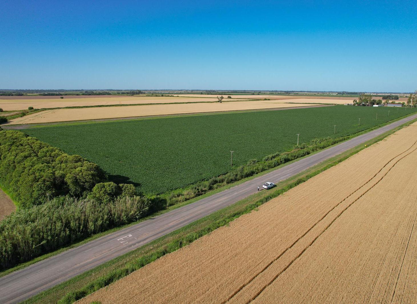 Foto de Campo Agricola en Venta en Alvarez, imagen 1