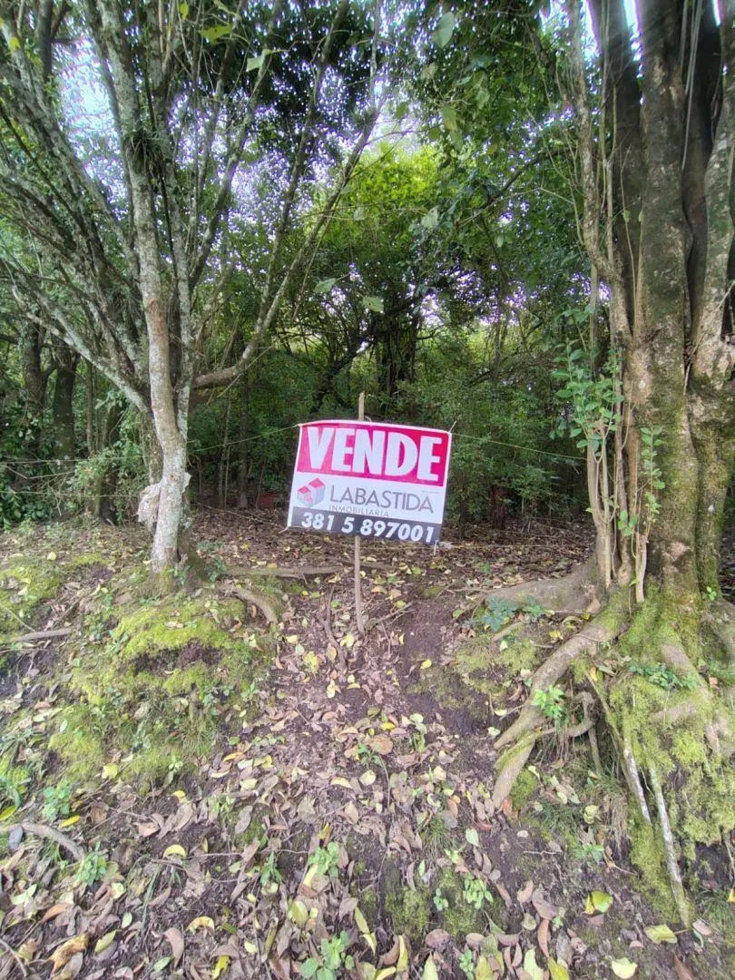 Timbo VIejo hectareas en venta 3