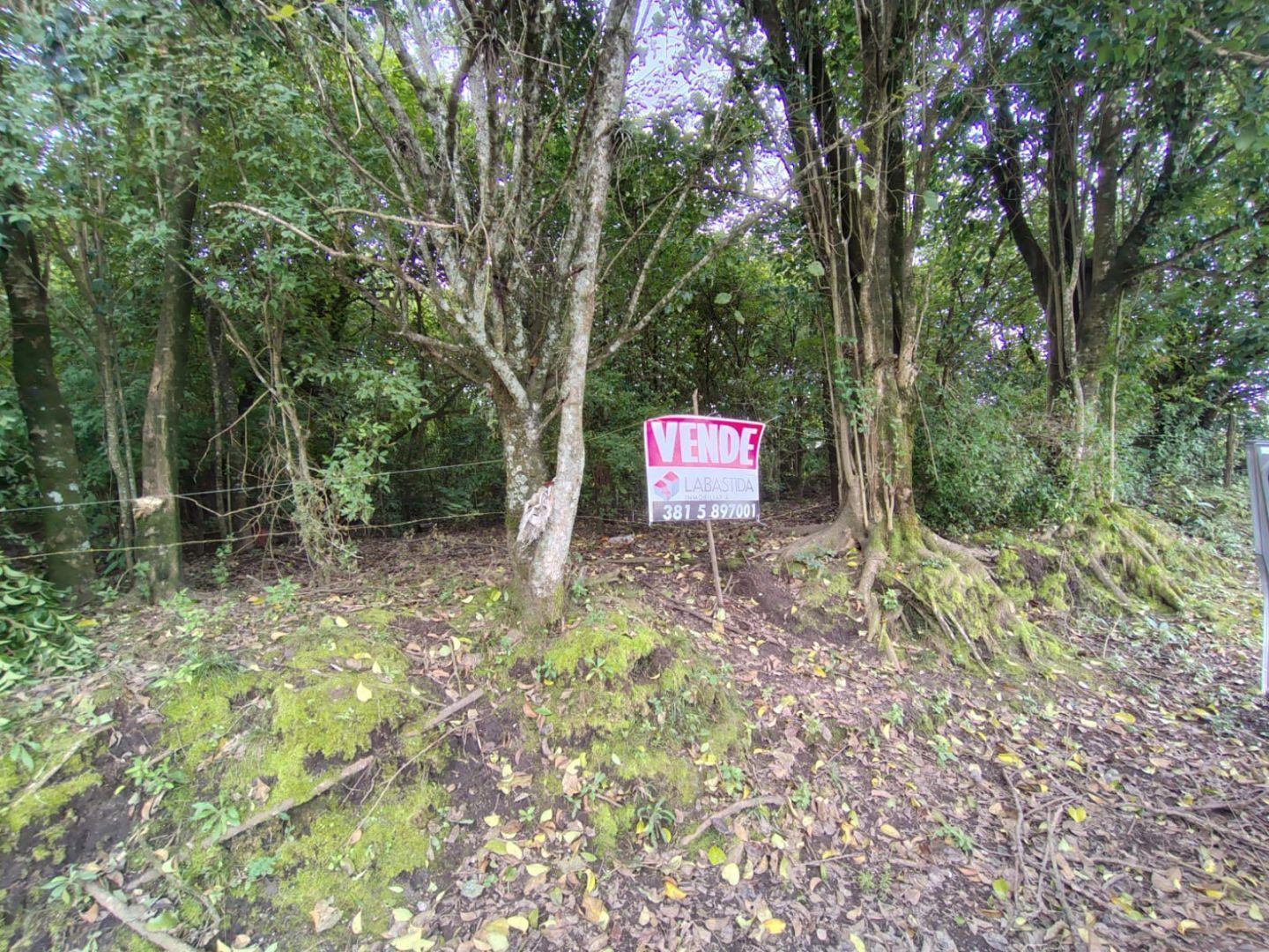 Timbo VIejo hectareas en venta
