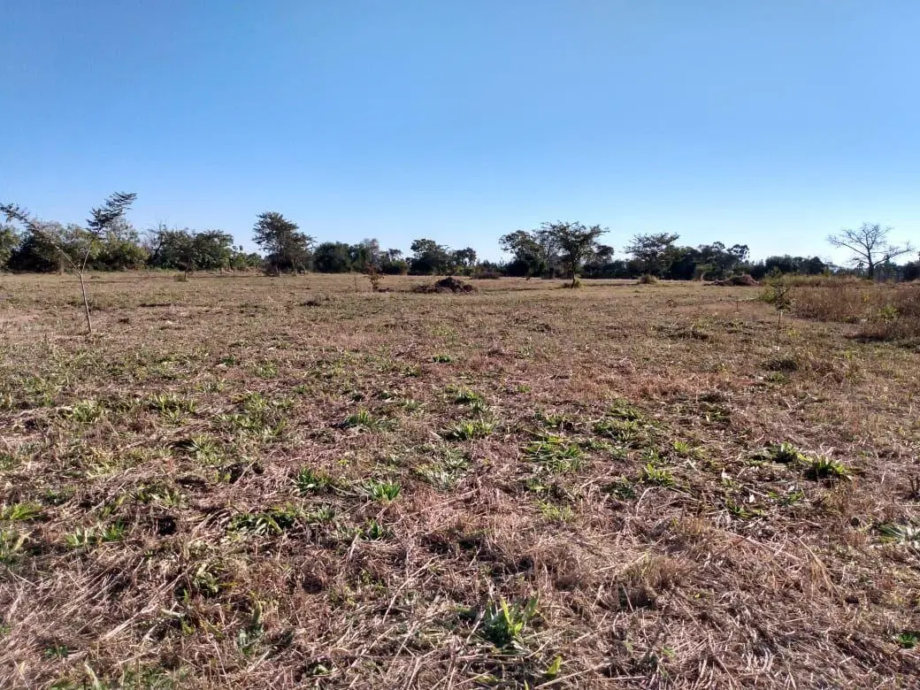 Lote . | ruta 305 en el km 4,5 4