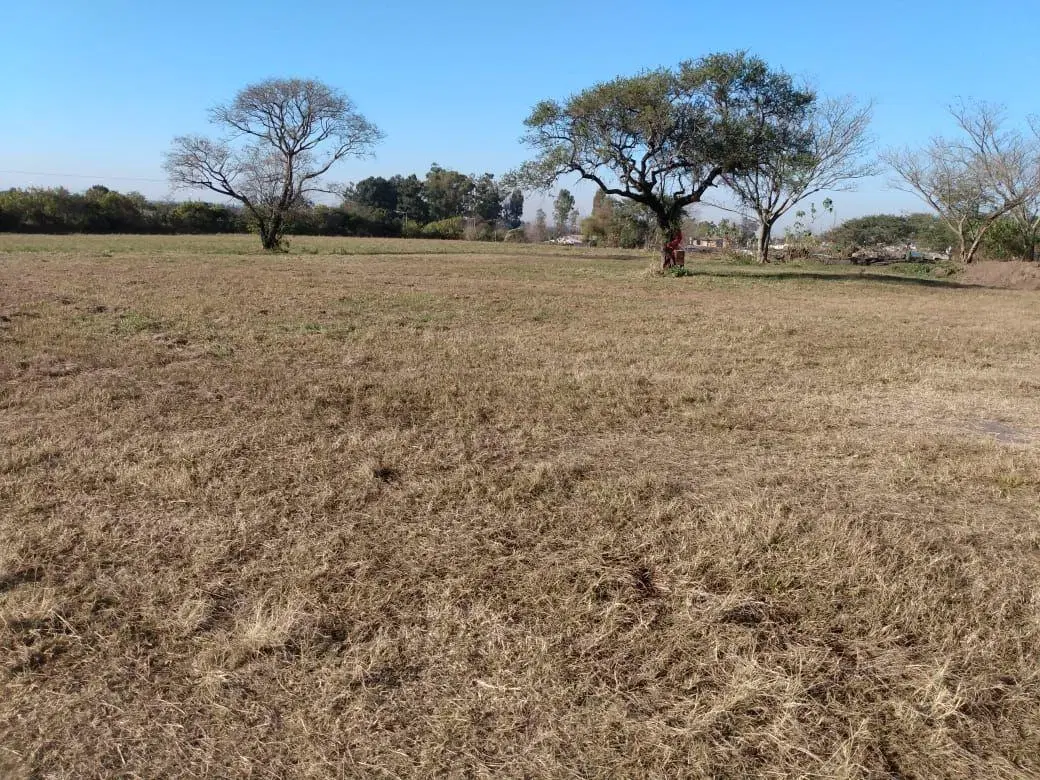 Lote . | ruta 305 en el km 4,5 5