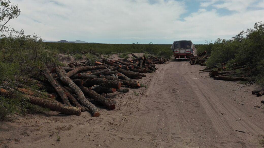 Venta Campo Ganadero 5522 Ha, San Rafael, Mendoza 2