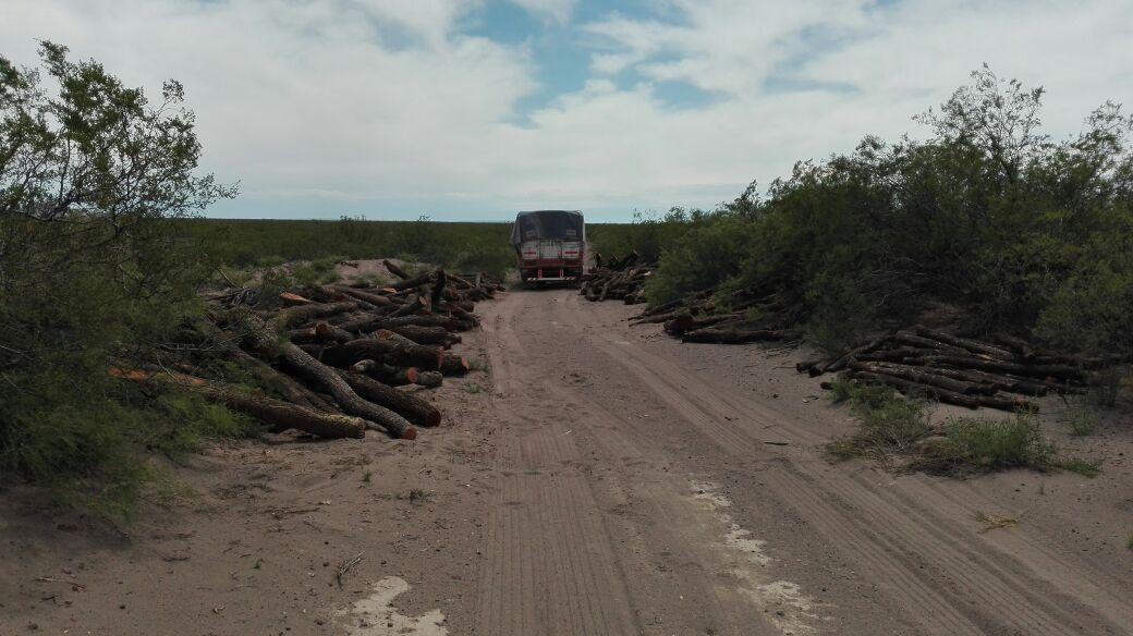 Venta Campo Ganadero 5522 Ha, San Rafael, Mendoza 1