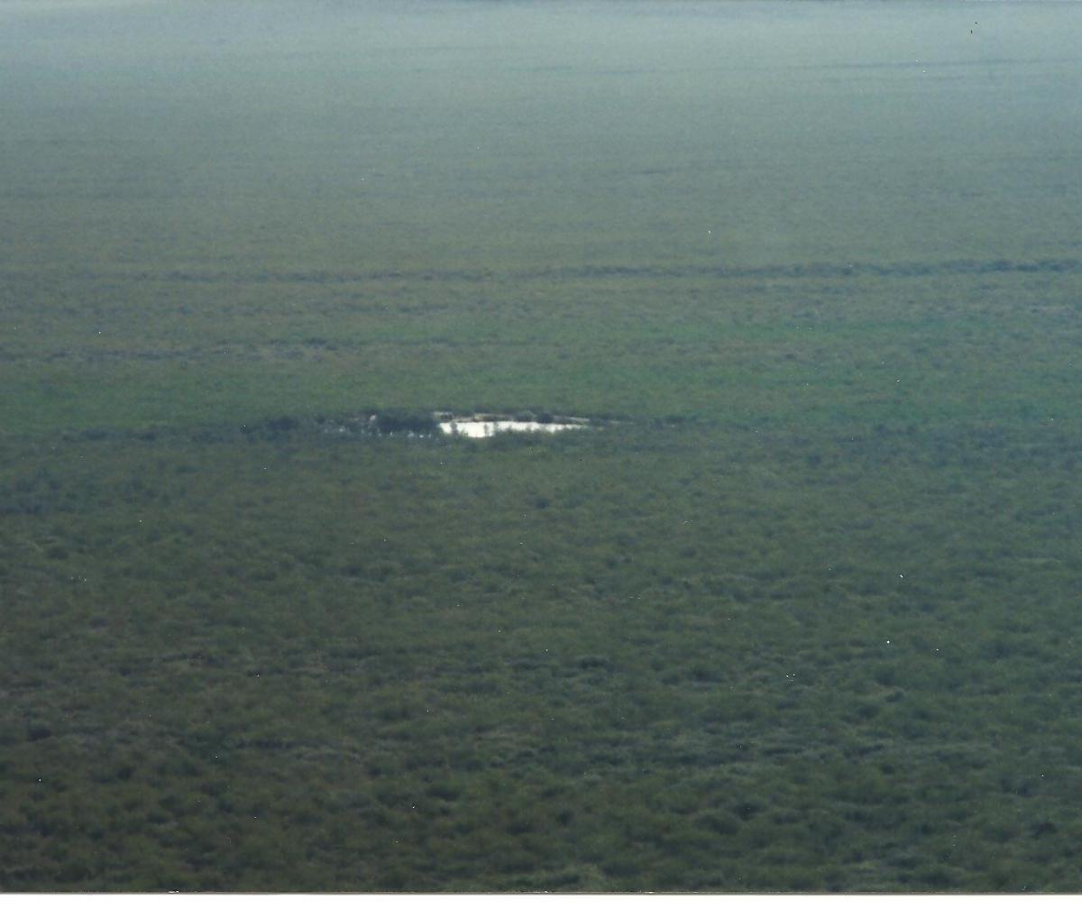 Venta Campo Ganadero 5522 Ha, San Rafael, Mendoza 5
