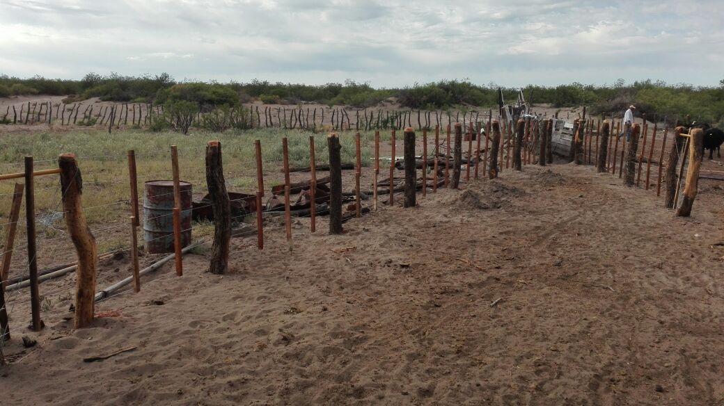 Venta Campo Ganadero 5522 Ha, San Rafael, Mendoza 3