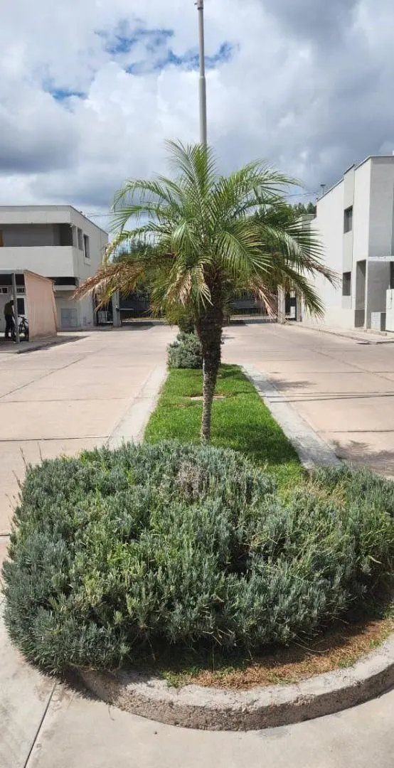 Departamento en alquiler en Villa Nueva, Guaymallen, calle Urquiza Nº364 2