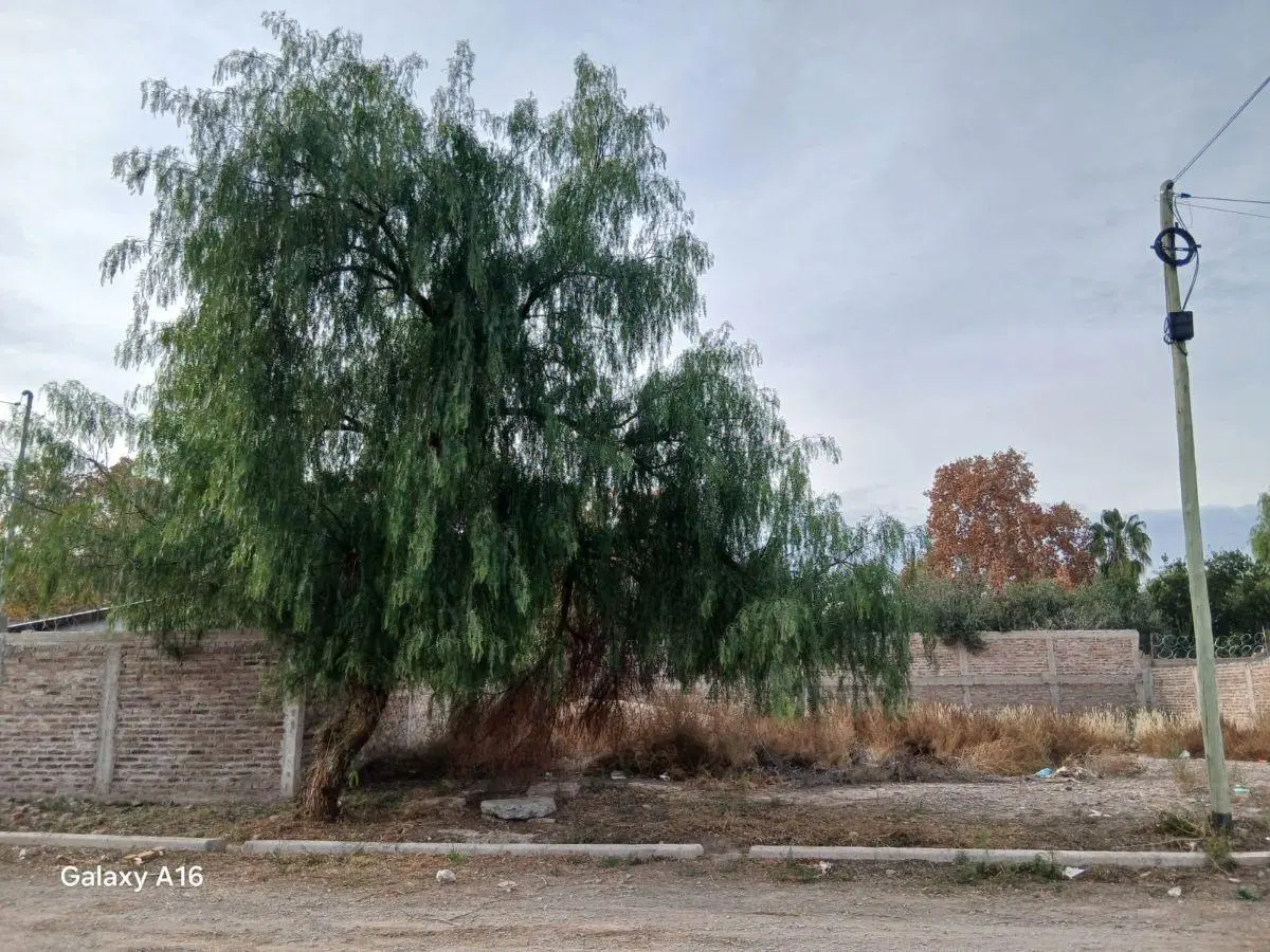 Venta Terreno 205m2 - Las Heras, Mendoza 3