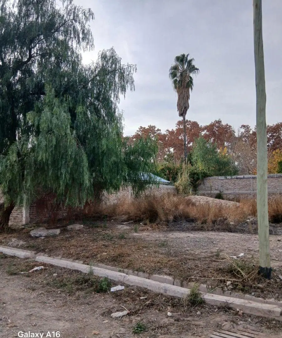 Venta Terreno 205m2 - Las Heras, Mendoza 5