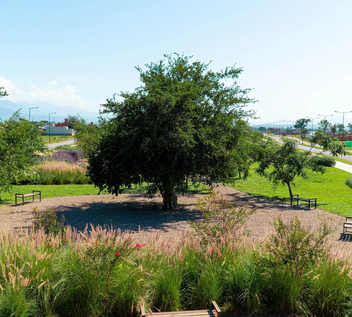 Venta de Lotes en Via Aurelia - Ultimas Unidades Disponibles 5