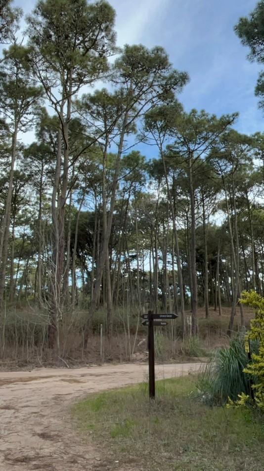 Foto de LOTE EN VENTA EN CARILO - BARRIO ZORZAL - 1.283 M², imagen 3