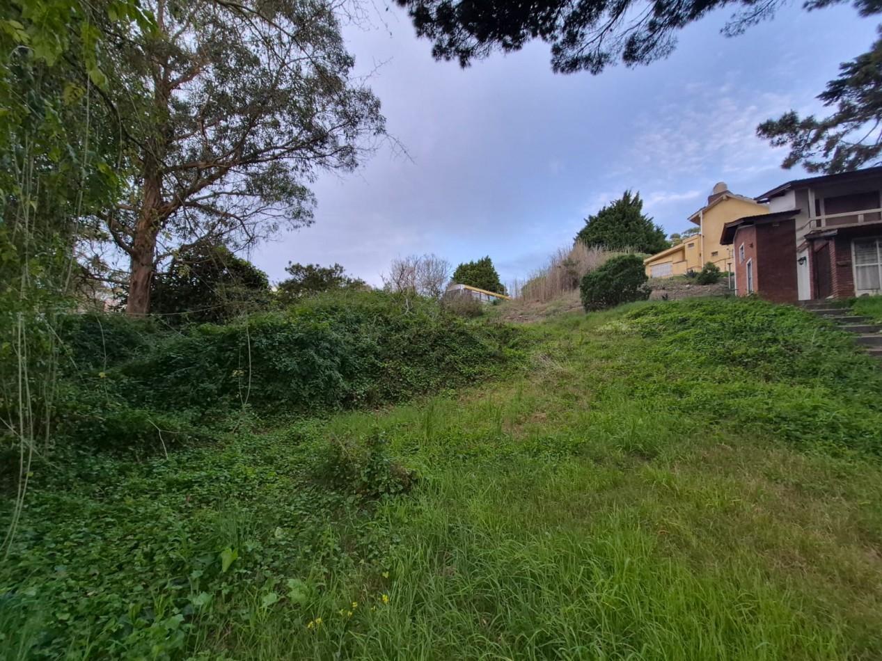 Foto de Venta de Lote/Terreno en Valeria del Mar-Pinamar, imagen 3