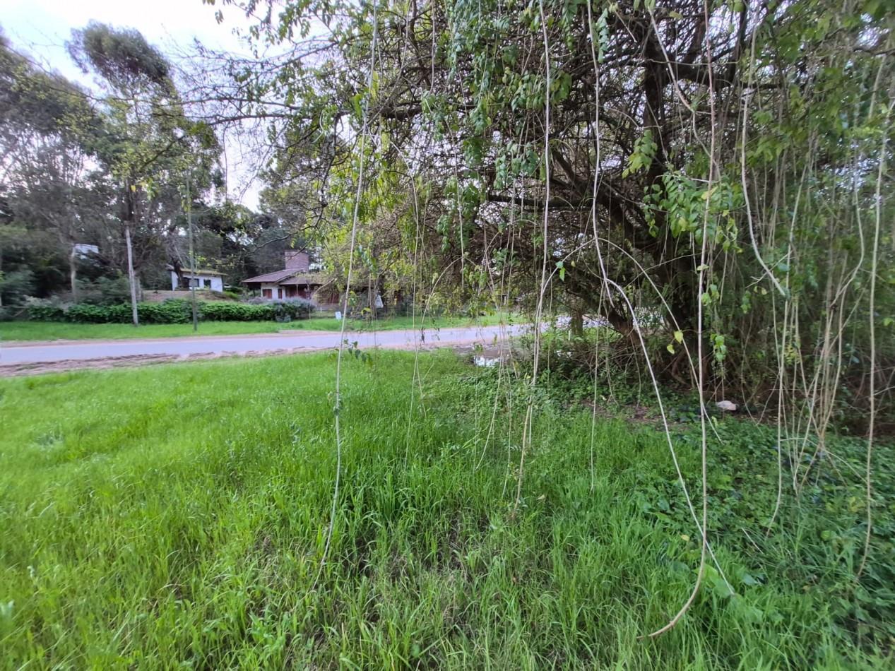 Foto de Venta de Lote/Terreno en Valeria del Mar-Pinamar, imagen 4