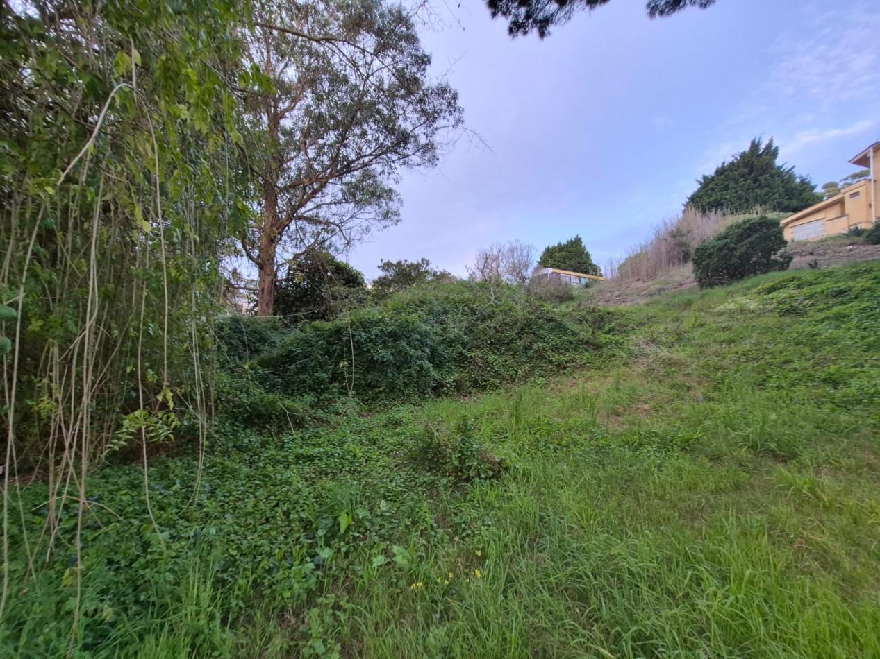 Foto de Venta de Lote/Terreno en Valeria del Mar-Pinamar, imagen 5