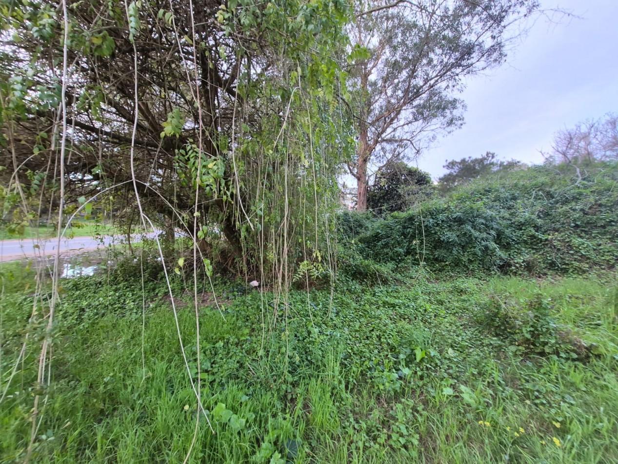 Foto de Venta de Lote/Terreno en Valeria del Mar-Pinamar, imagen 1