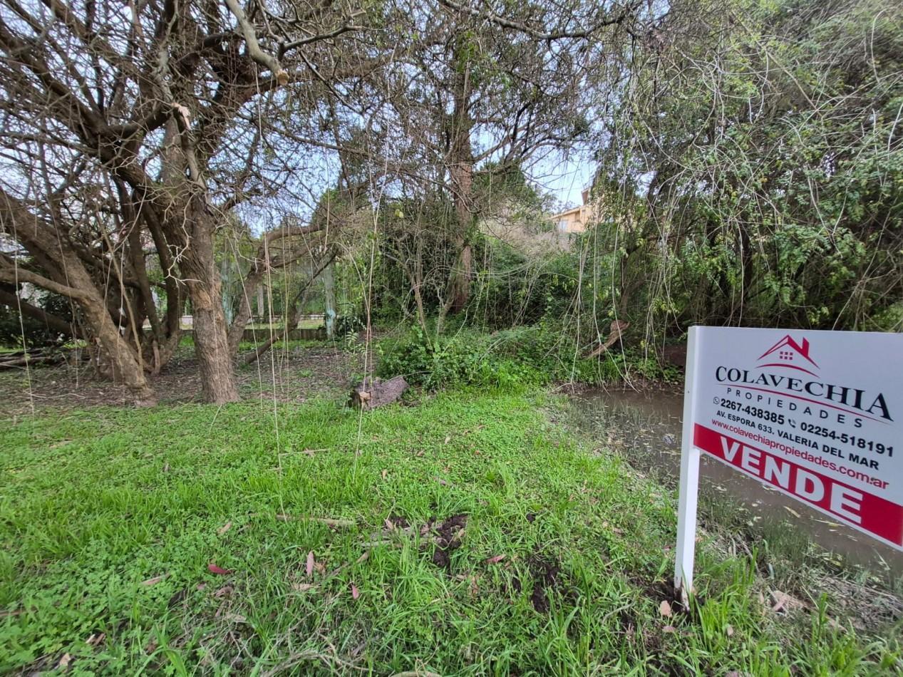 Foto de Venta de Lote/Terreno en Valeria del Mar-Pinamar, imagen 2