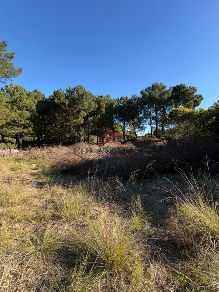 Foto de Lote Costa Esmeralda, imagen 4