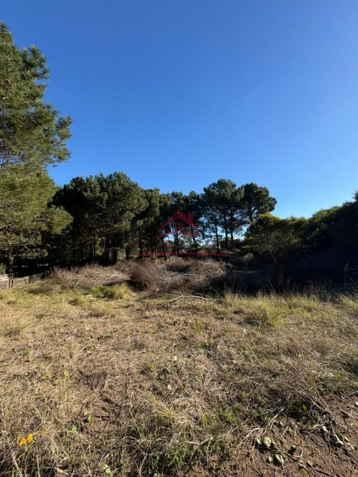 Foto de Lote Costa Esmeralda, imagen 2
