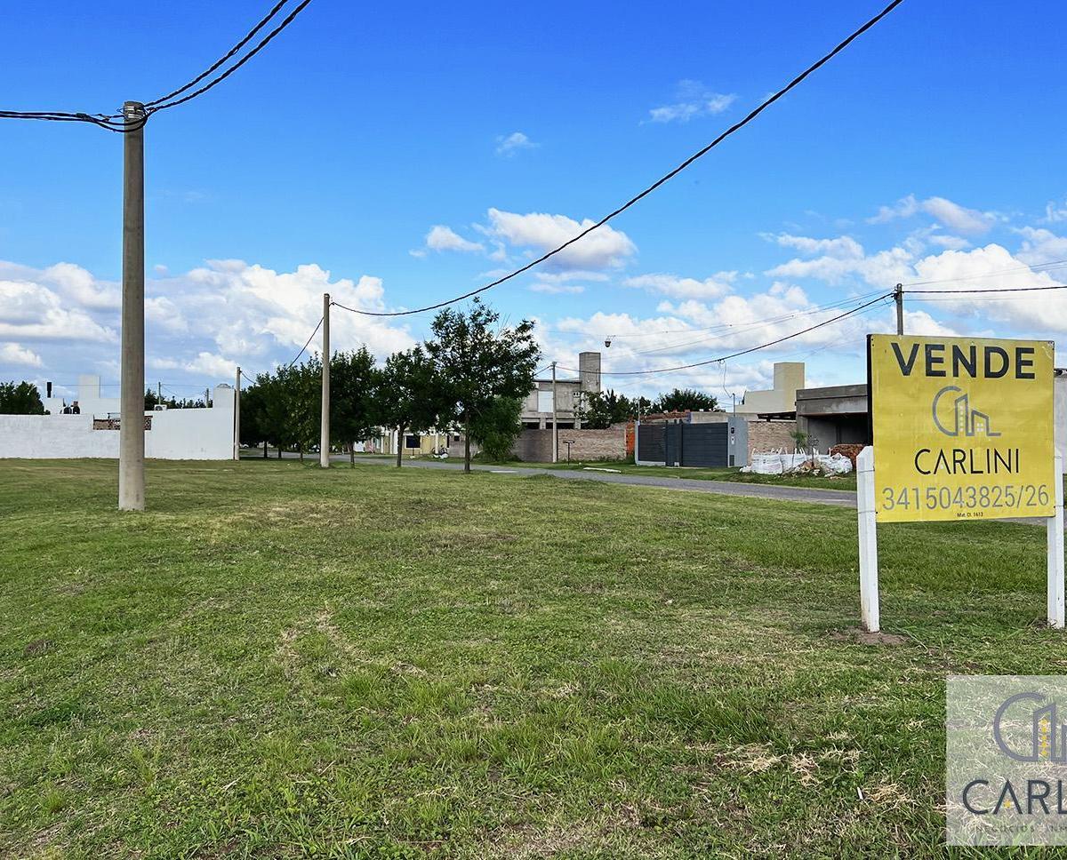 Lote Ricardone 4