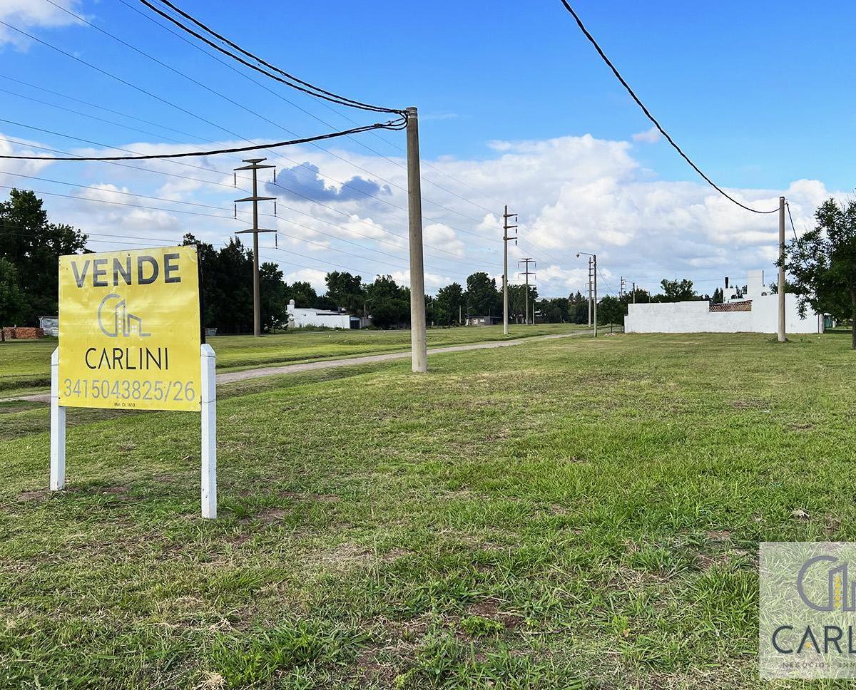 Lote Ricardone 2