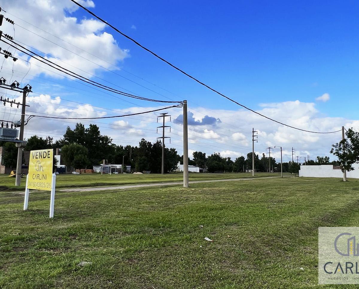 Lote Ricardone 1
