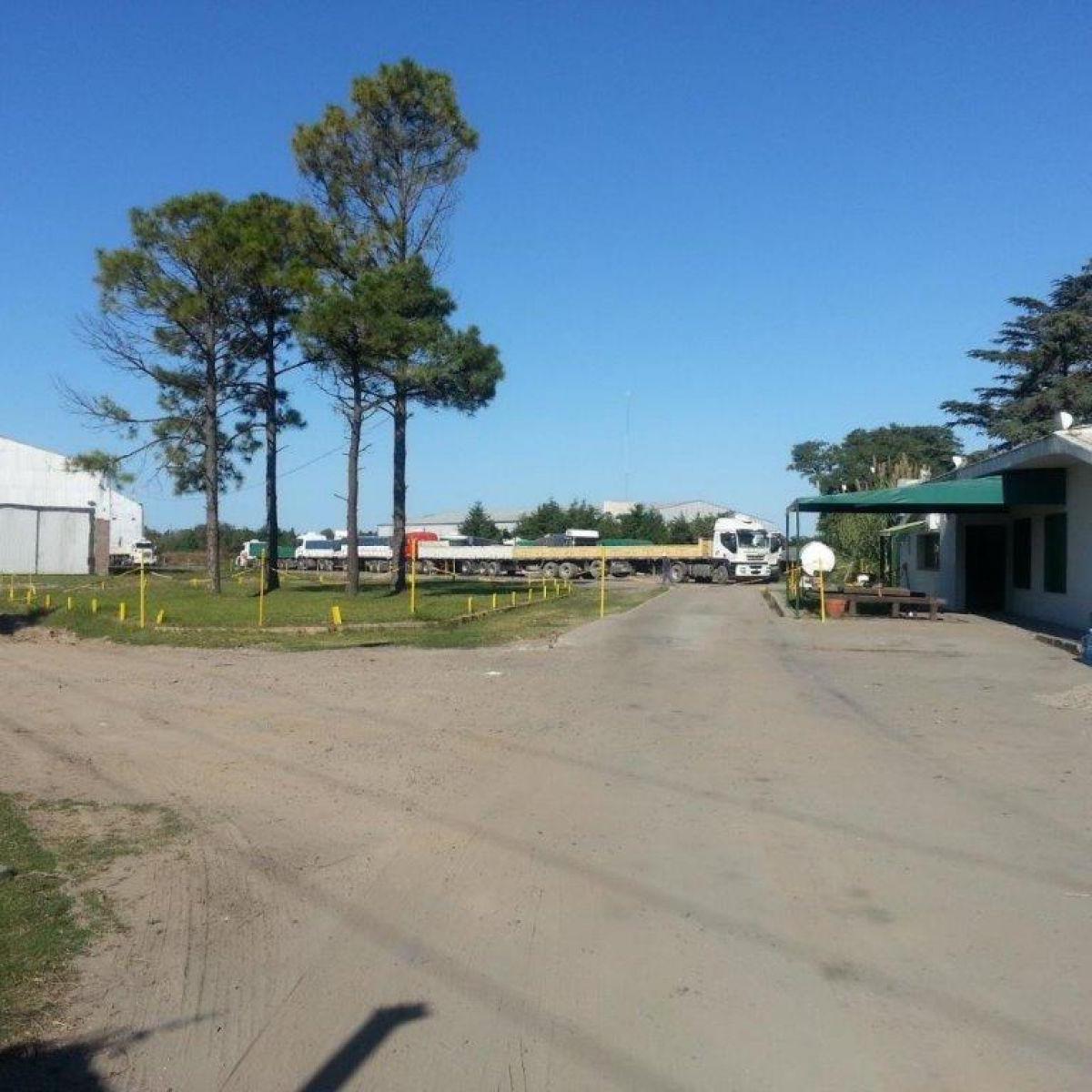 Deposito en Venta y Alquiler 5