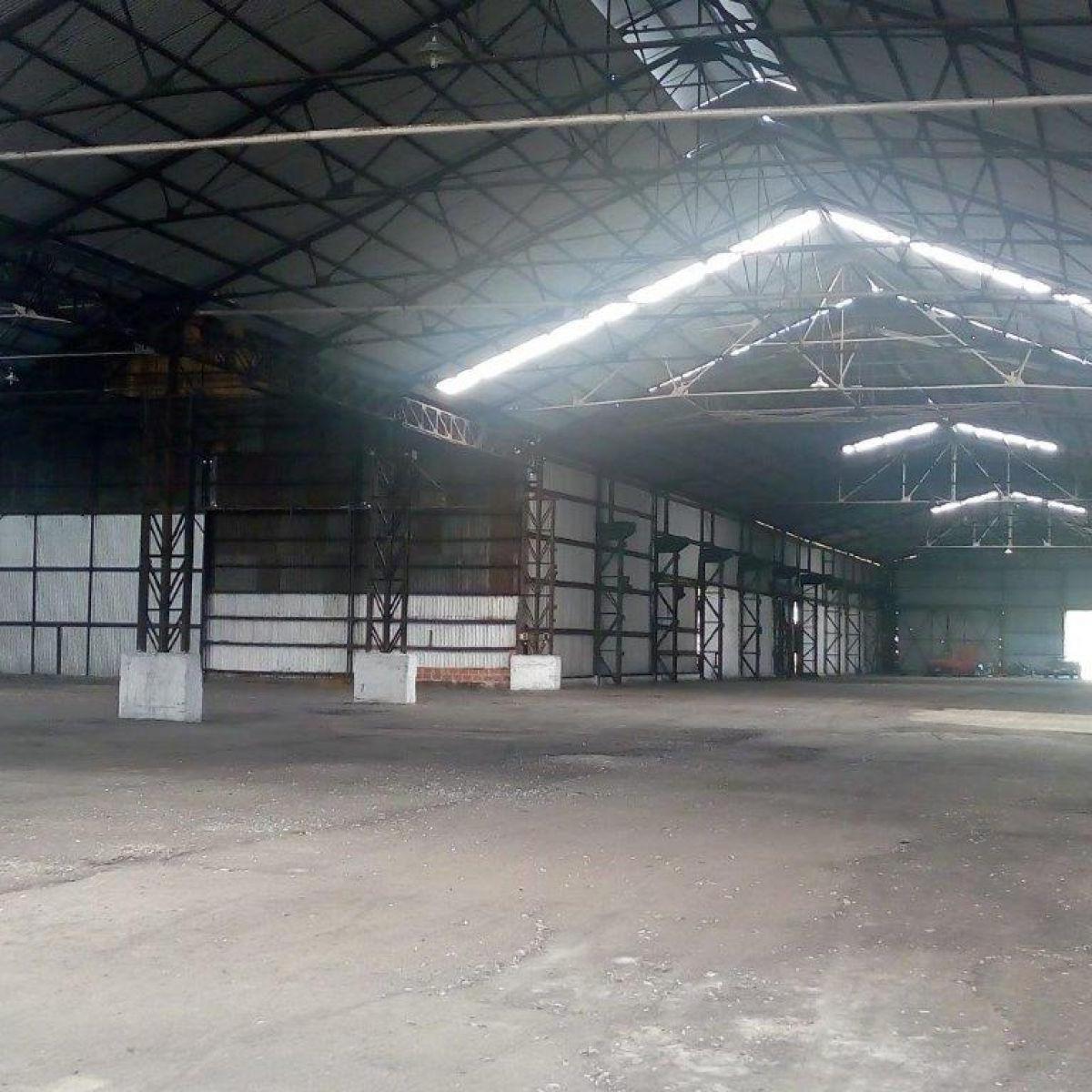 Deposito en Venta y Alquiler 2