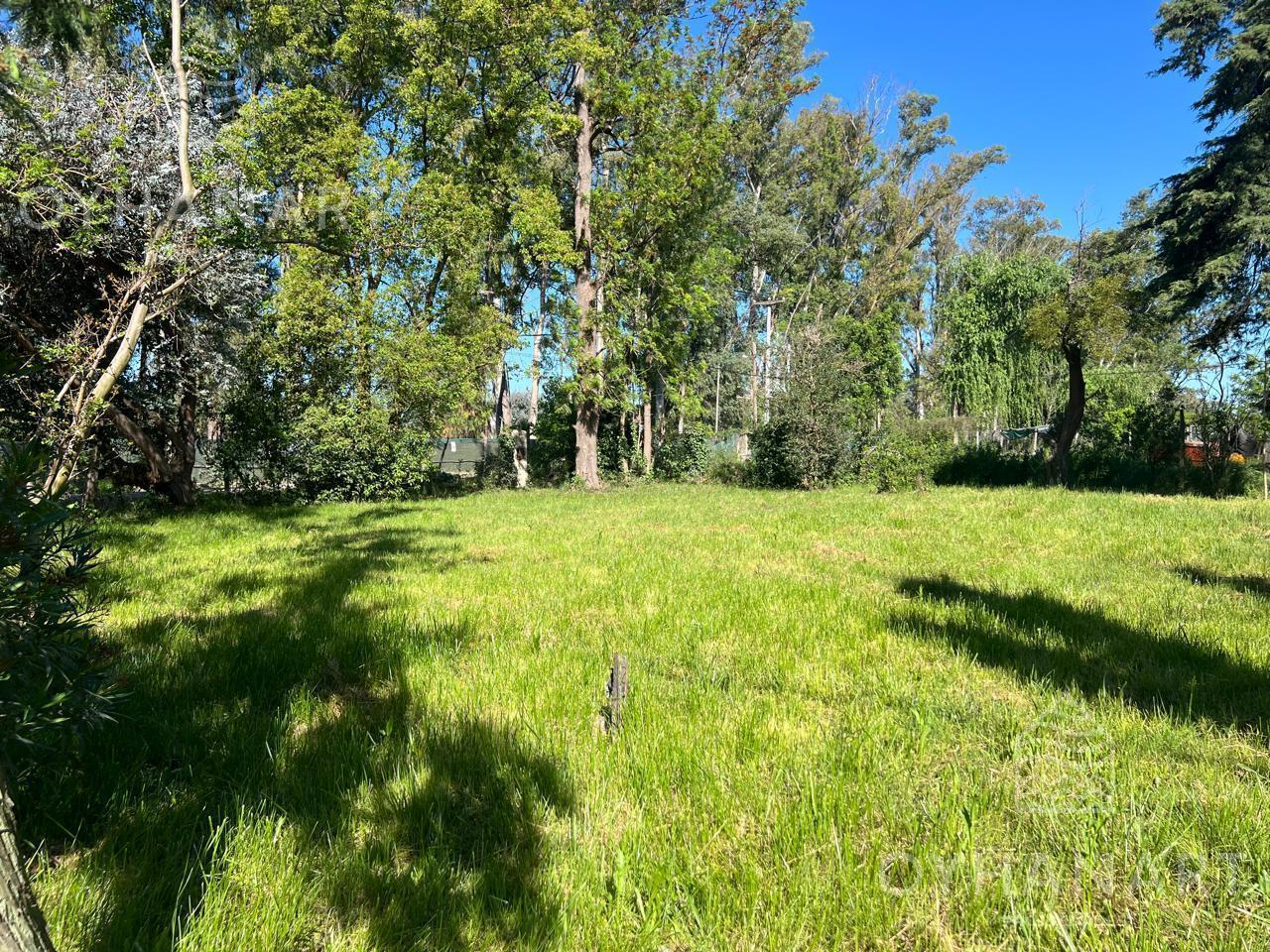 Lote en Loma Verde