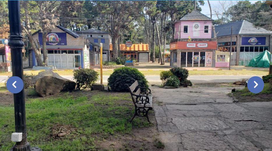 Local Comercial en Paseo Las Camelias 3