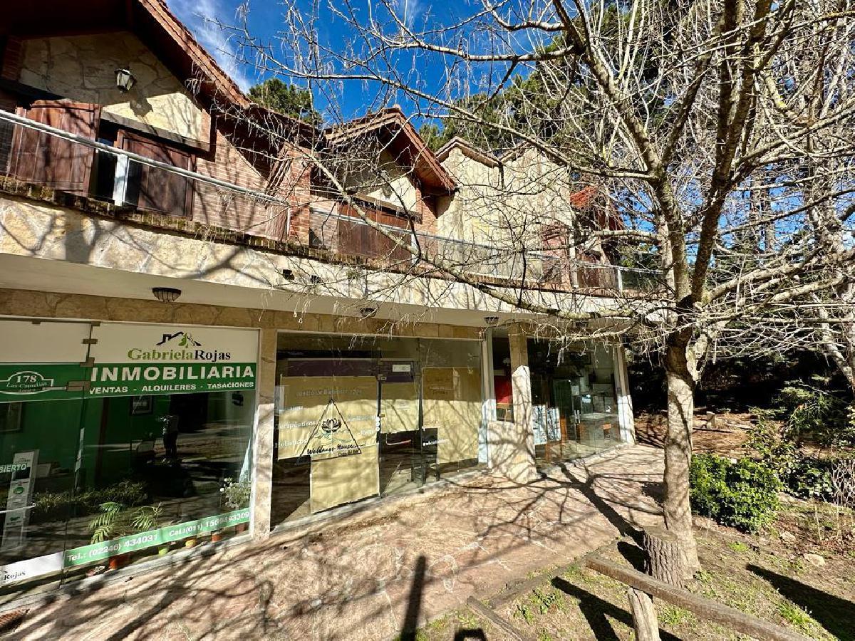 Depto de 3 Amb + Local Comercial en El Centro 3
