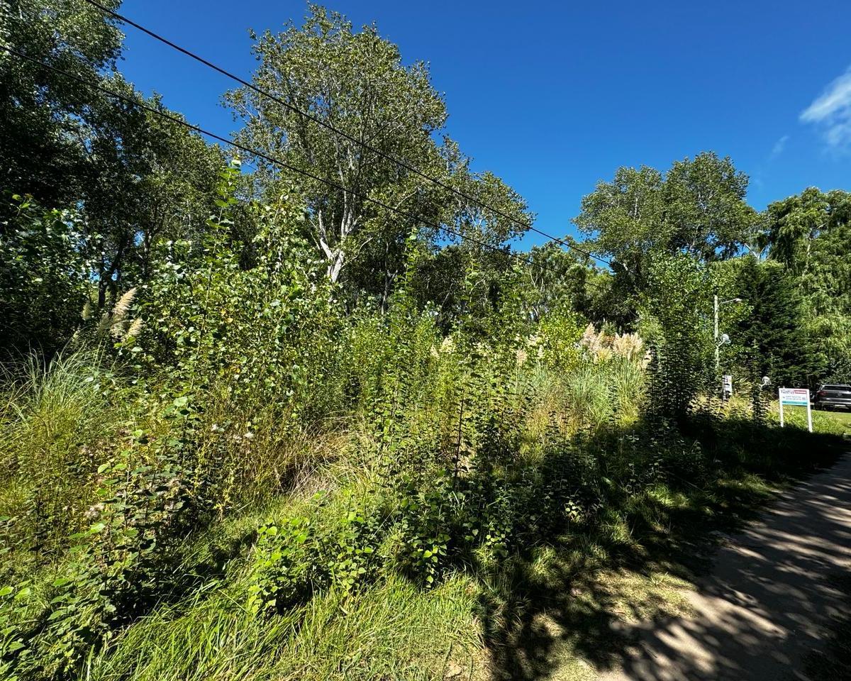 Lote en Venta en Costa del Este 1
