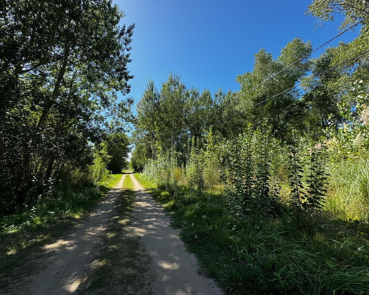 Lote en Venta en Costa del Este 3