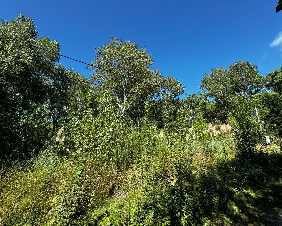 Lote en Venta en Costa del Este 5