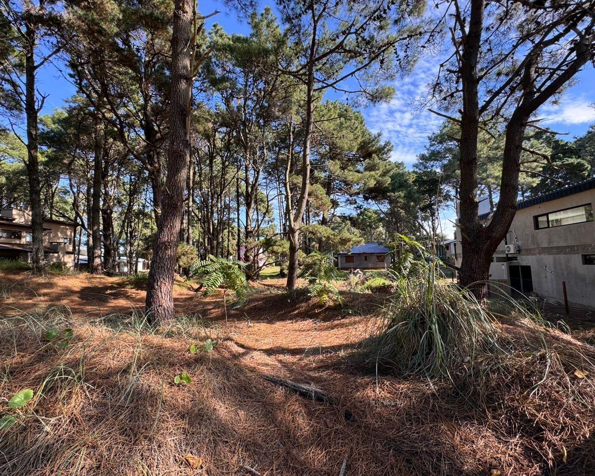 Lote en Venta en Costa del Este 5