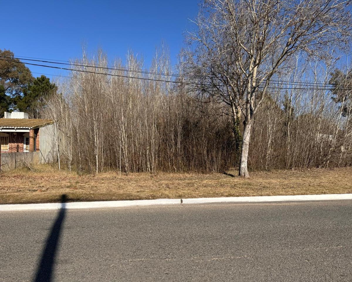 Lote en Venta en Aguas Verdes 4