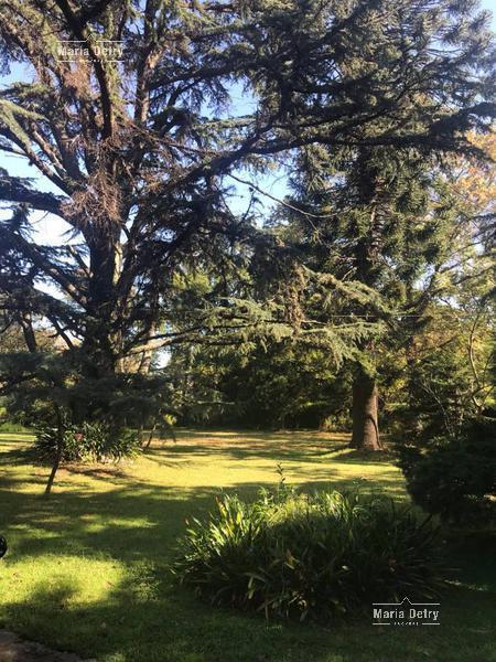 Venta terreno San Isidro